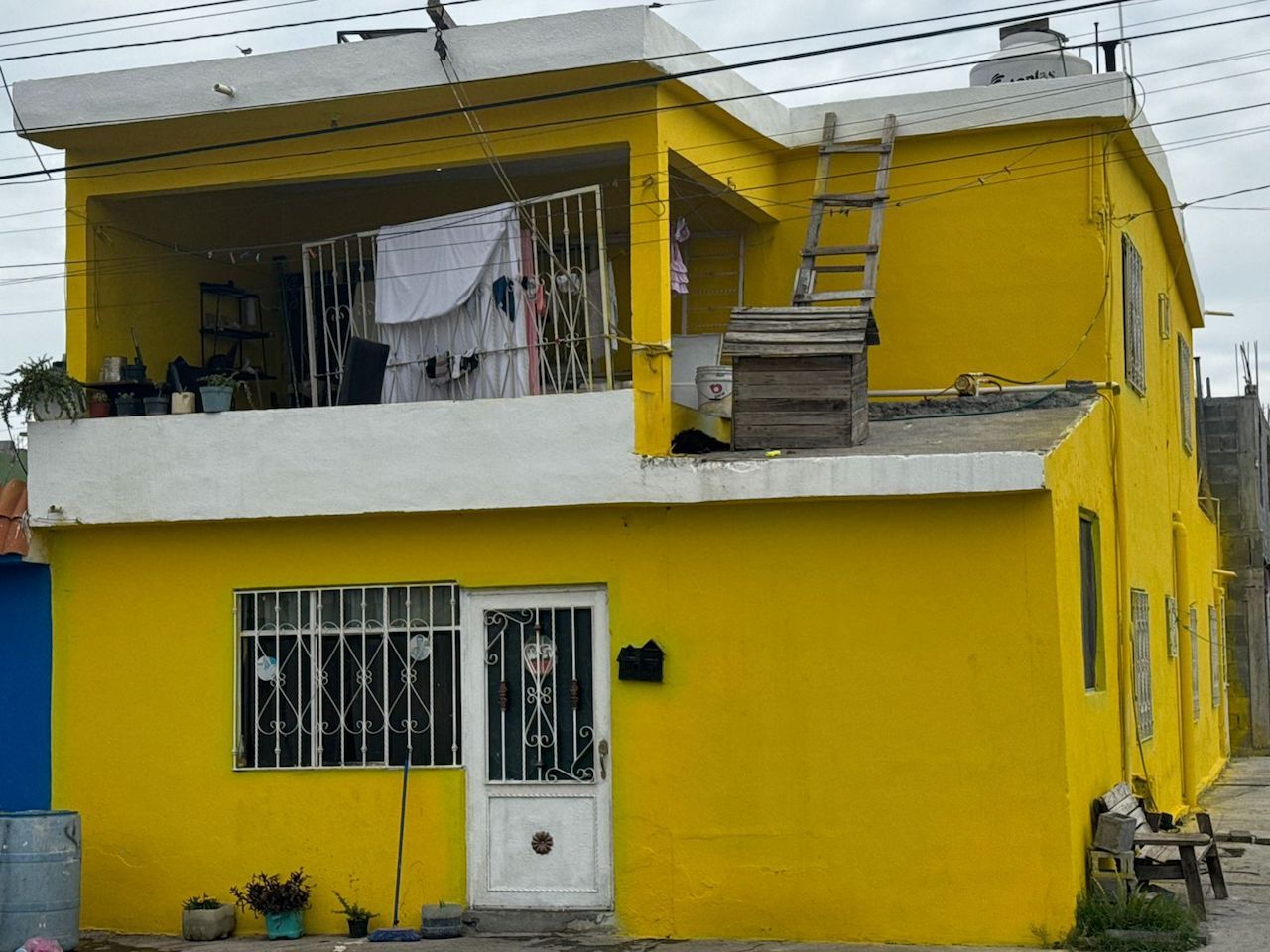 casa-maltrato-animal-coahuila.jpeg