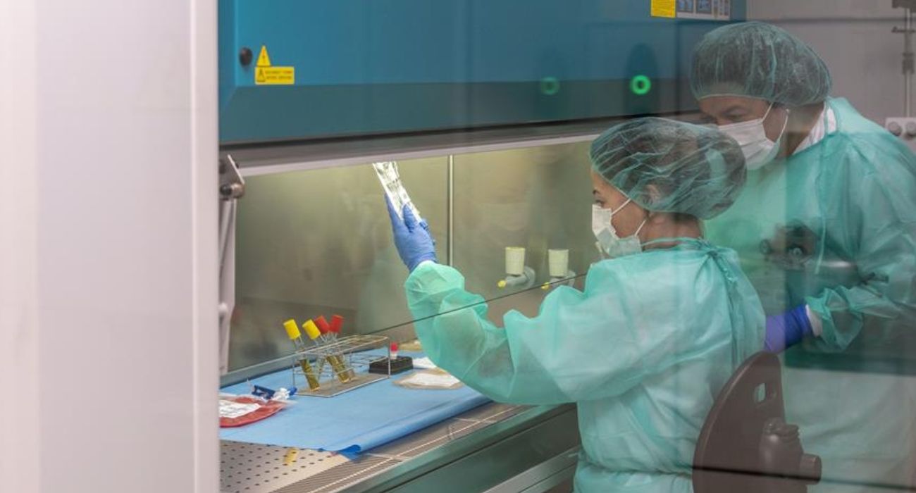 centro oncologico investigadores cancer pancreas ratones españa.jpg