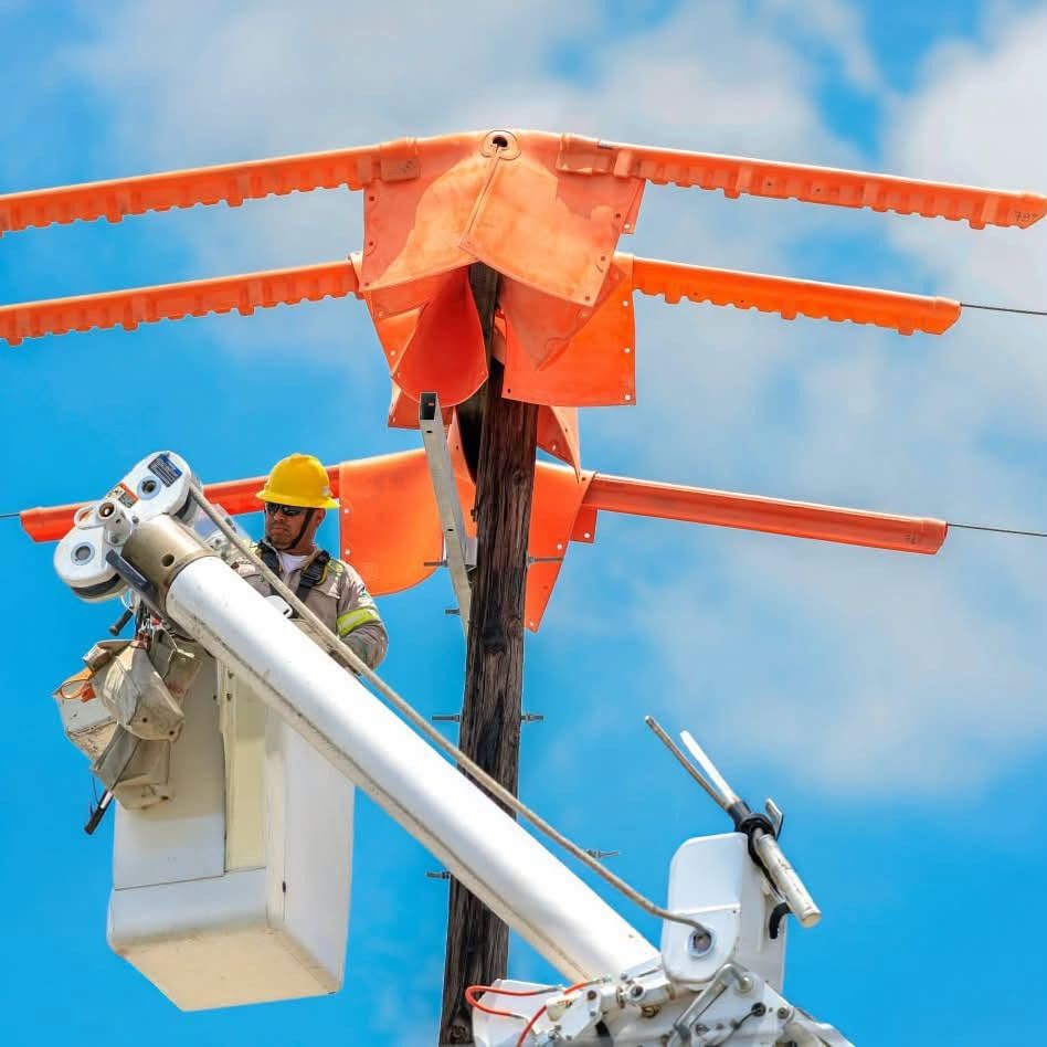 cfe-guadalupe-coordinacion-fallas-electricas.jpg