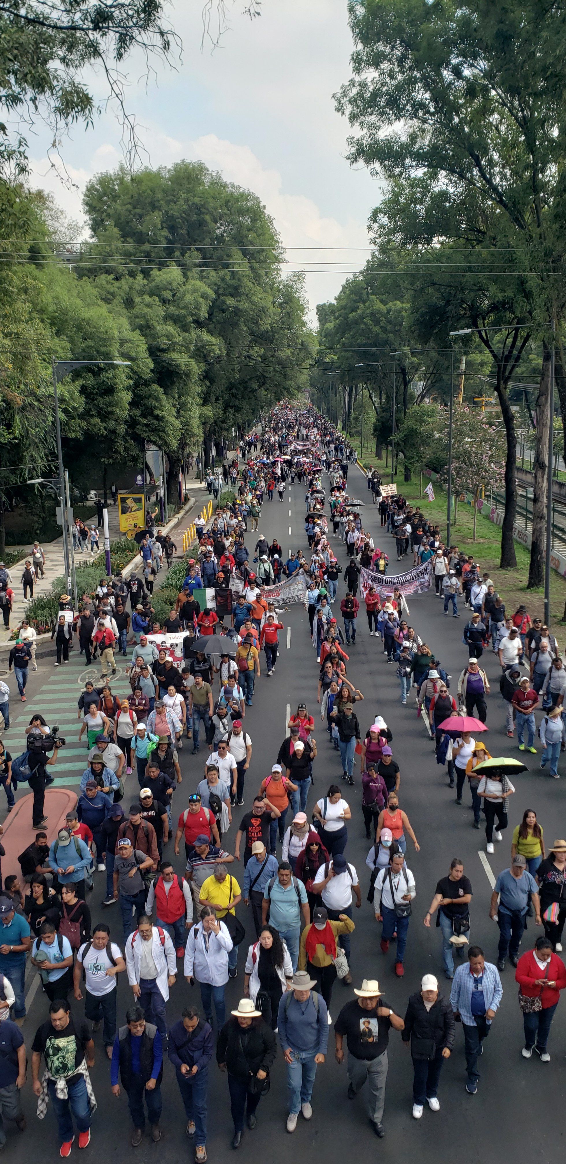cnte-movilizaciones.jpg