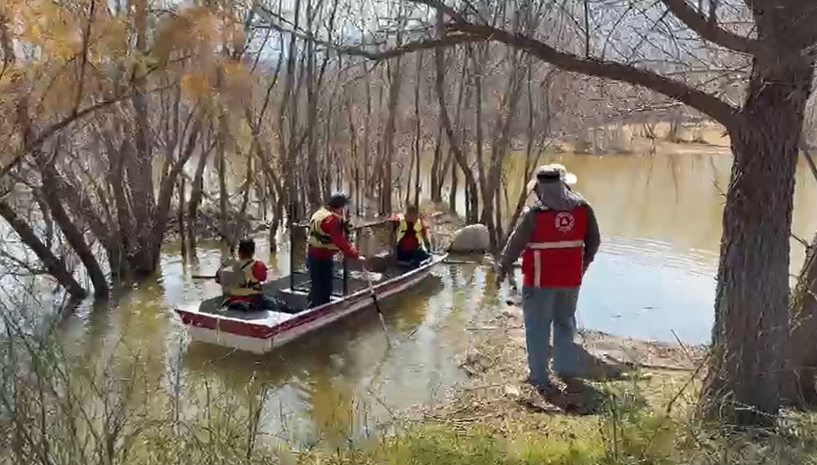 cocodrilo coahuila palo blanco.JPG