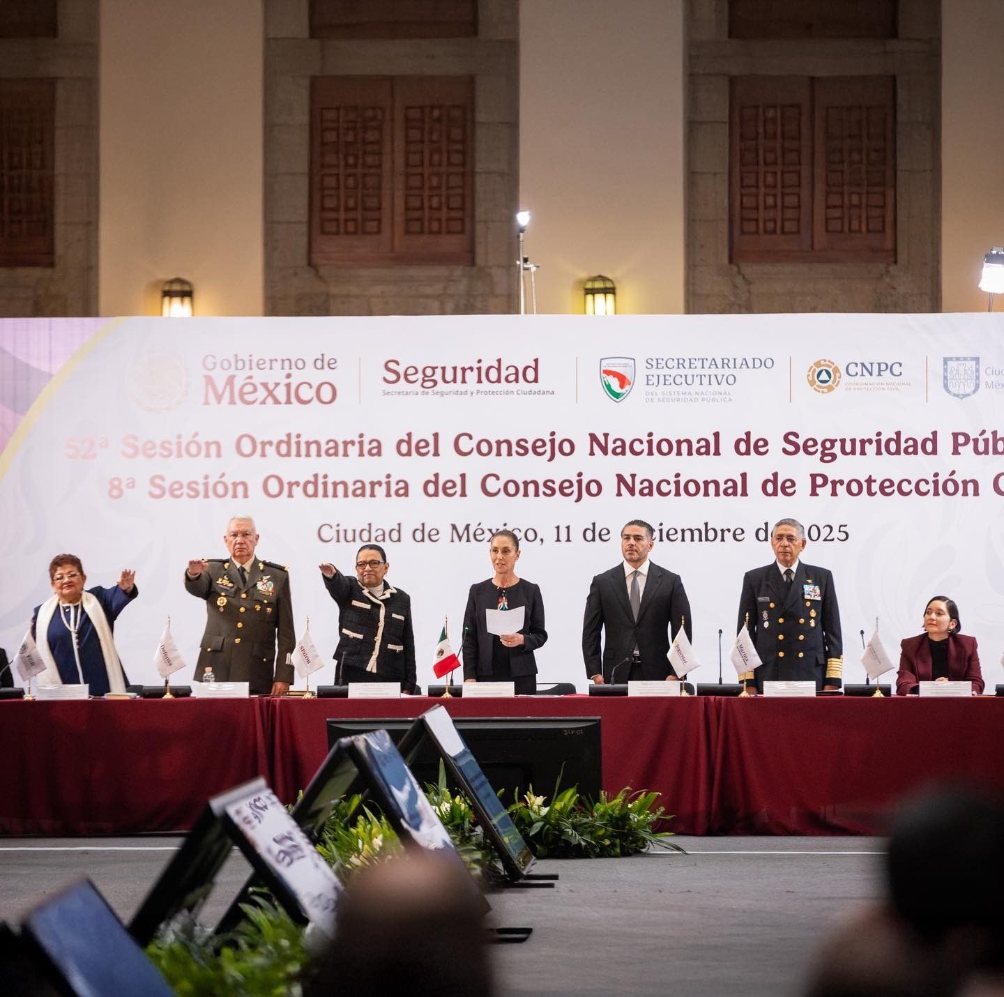 consejo-nacional-seguridad-pública .jpg