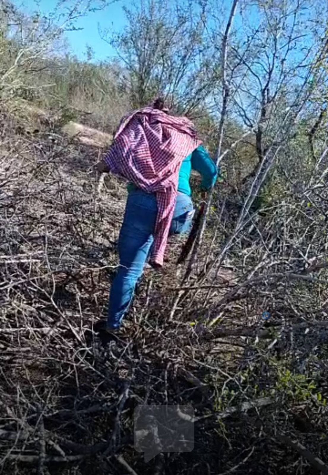 d0c5c9ae-1c2a-4585-85a8-1ba1287e57a2.jfif