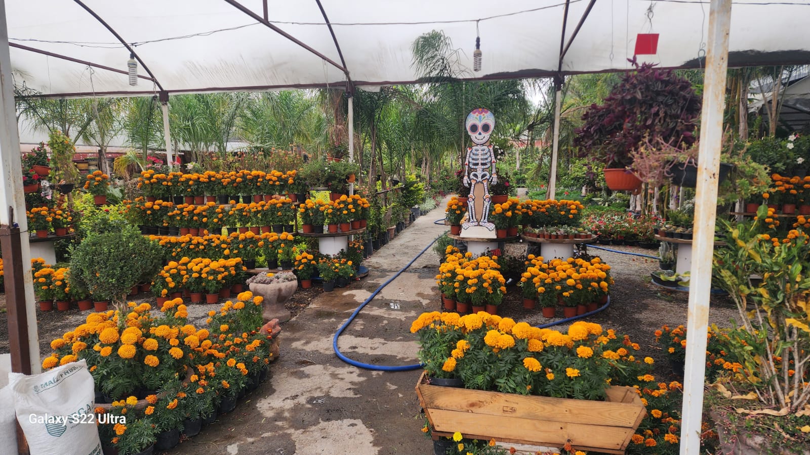 d34e2abd-a0b1-46a2-a08d-0c195f32b21d.jfif