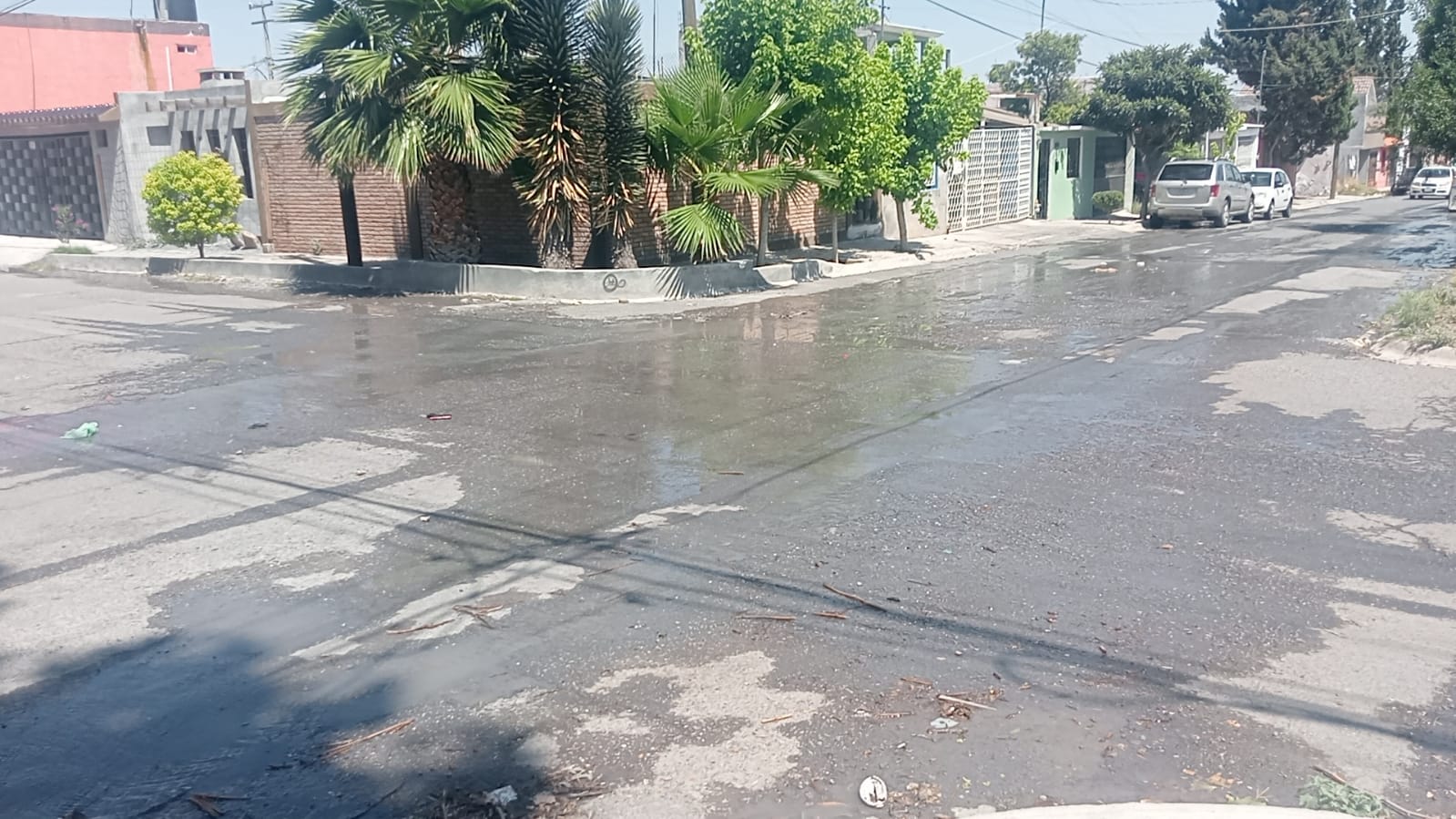 d84914dc-d7f0-4fa7-9575-c85d365e1a1d.jfif