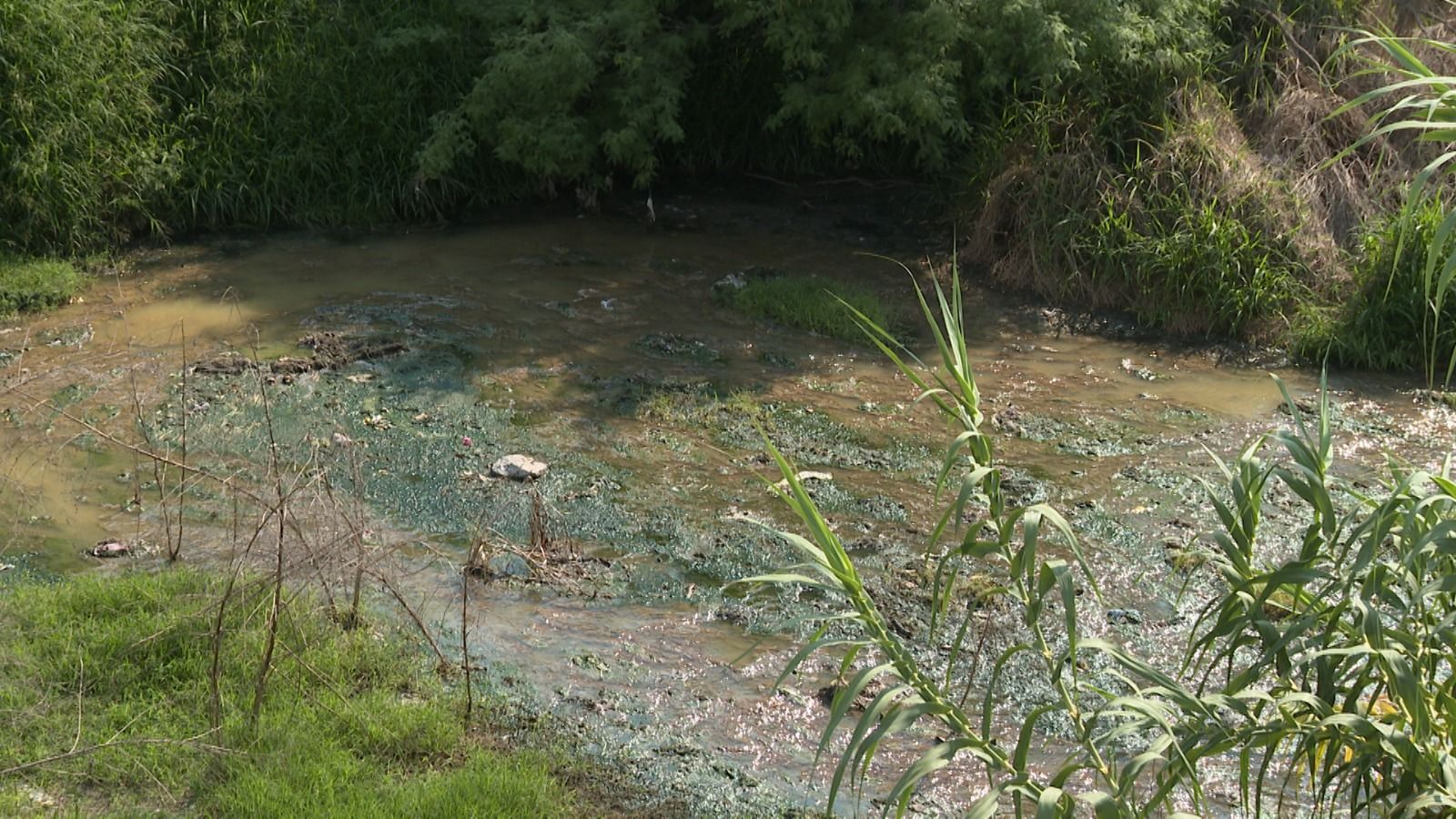 d92c5fd5-90c0-4ec7-984a-cd829761071f.jfif