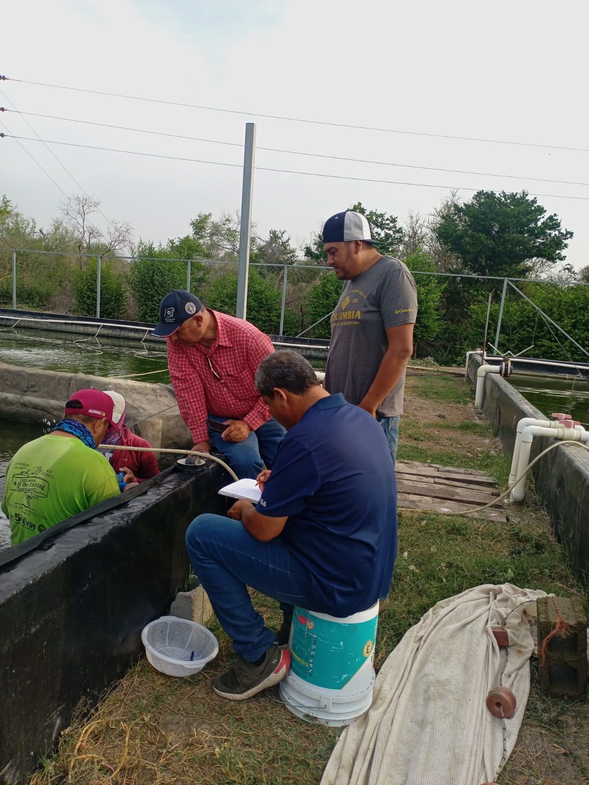 daniel-cruz-principal-productor-crias-bagre-tilapia.jpg