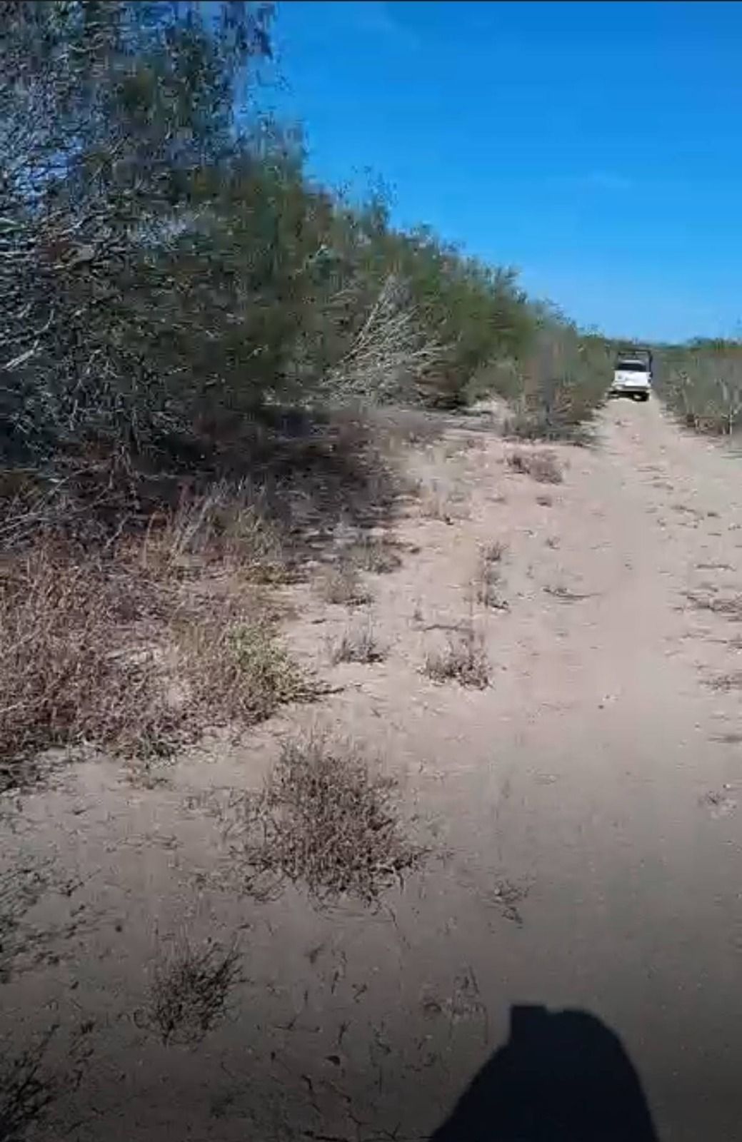 dc347472-9982-4287-823f-a37727e45b7d.jfif