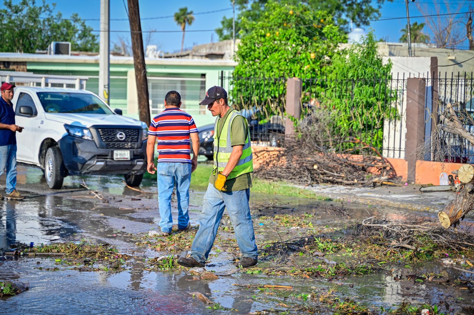 de904b0e-2ced-4922-b089-e83f6e6aff00.jfif