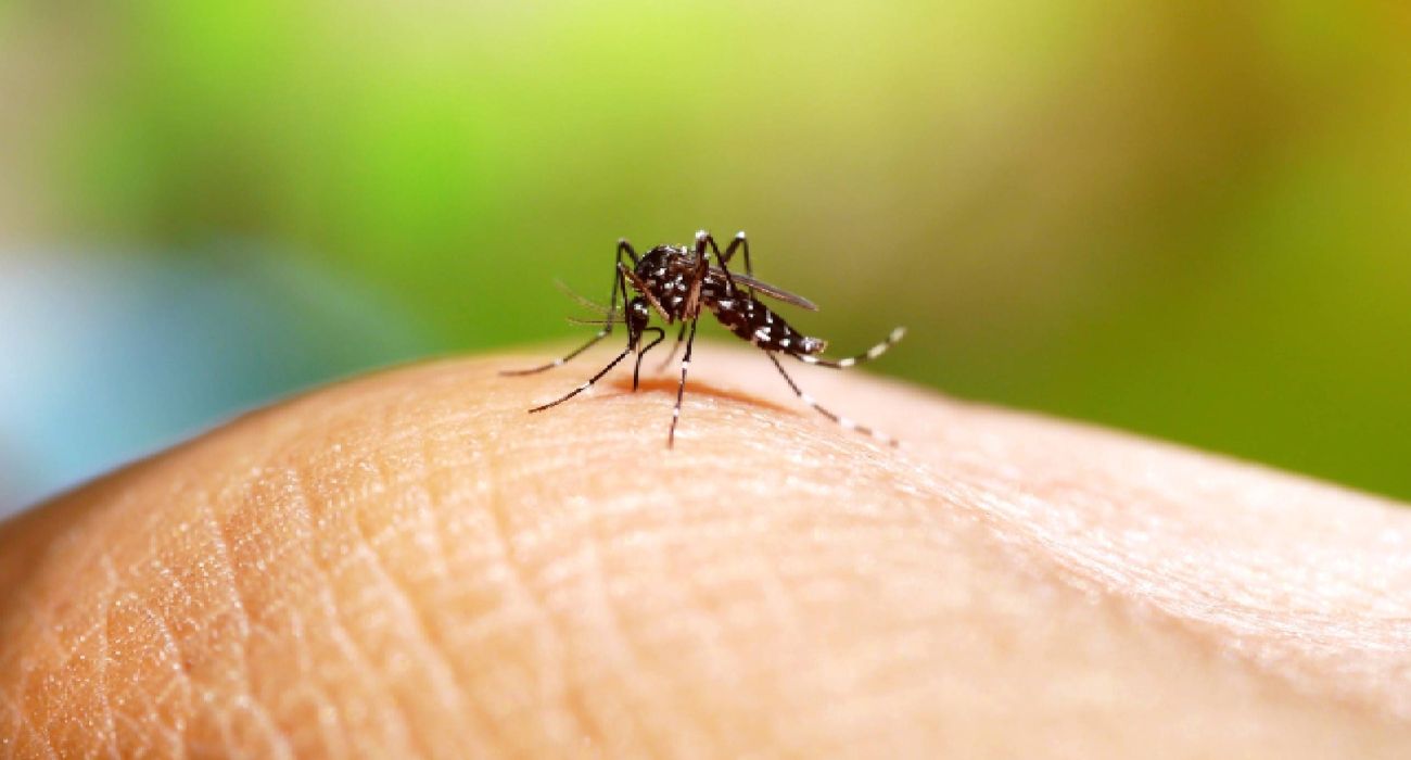 dengue-casos-mexico.jpg