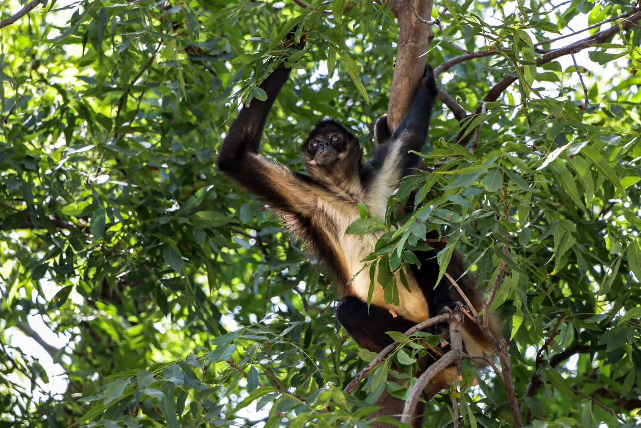 e41f25e4-0d54-4274-9195-d483760243e1.jfif