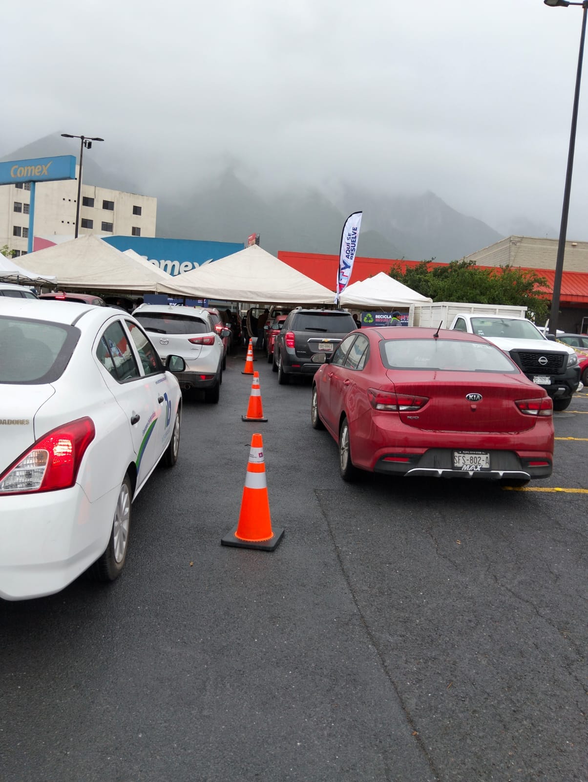 ea3a9e6f-a4ce-44d4-9674-468b591d8a2d.jfif