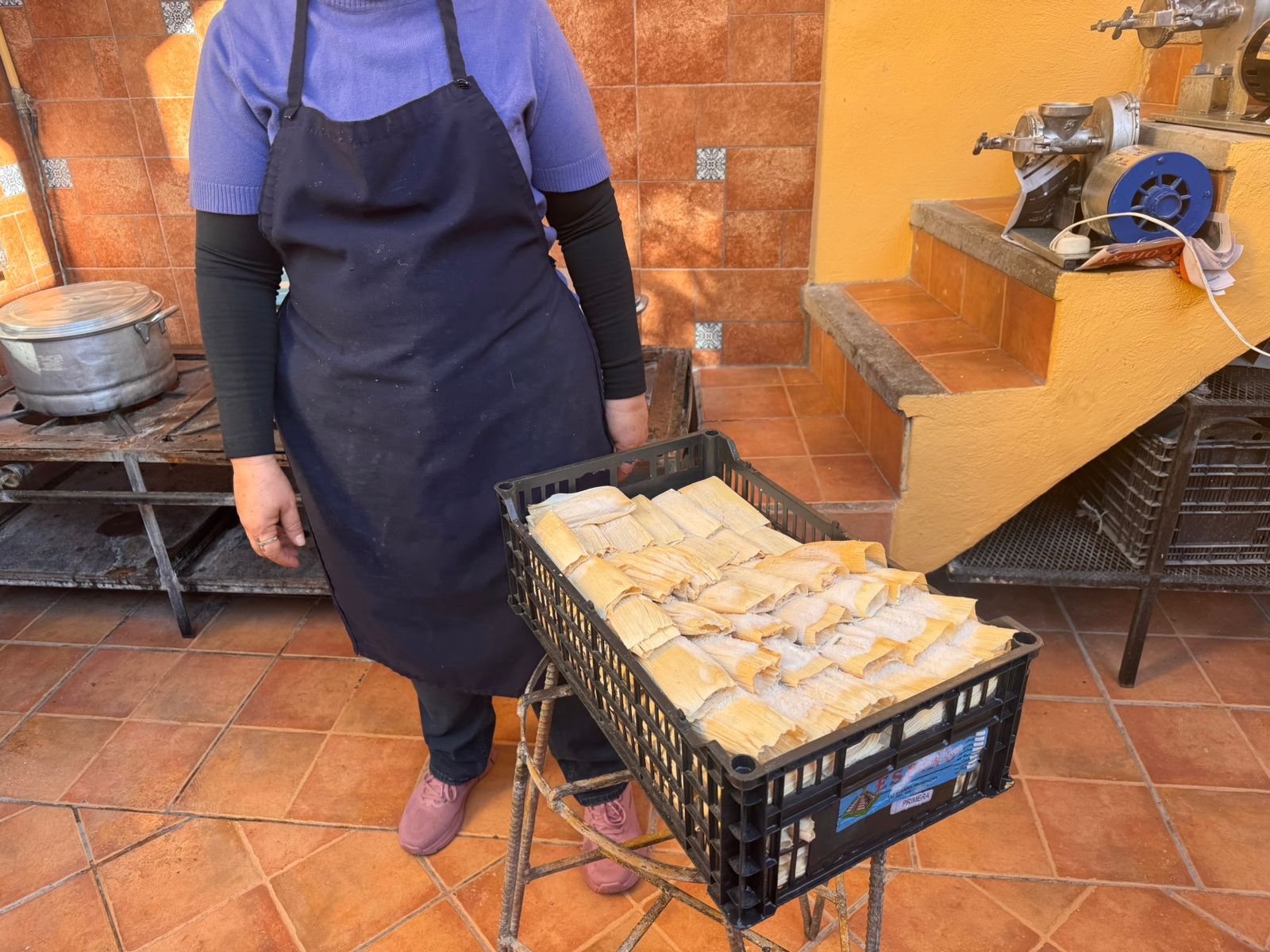 ec90db89-8b94-4a59-82f4-04ad46d3f36e.jfif