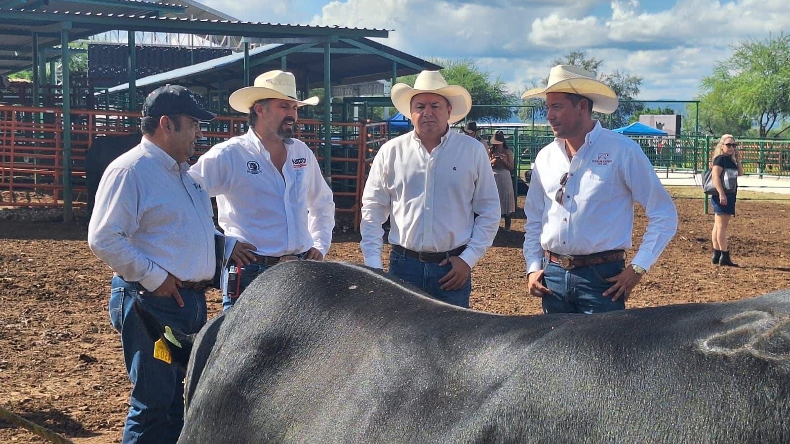 ecd643c9-9a89-401b-b261-5dd731540306.jfif