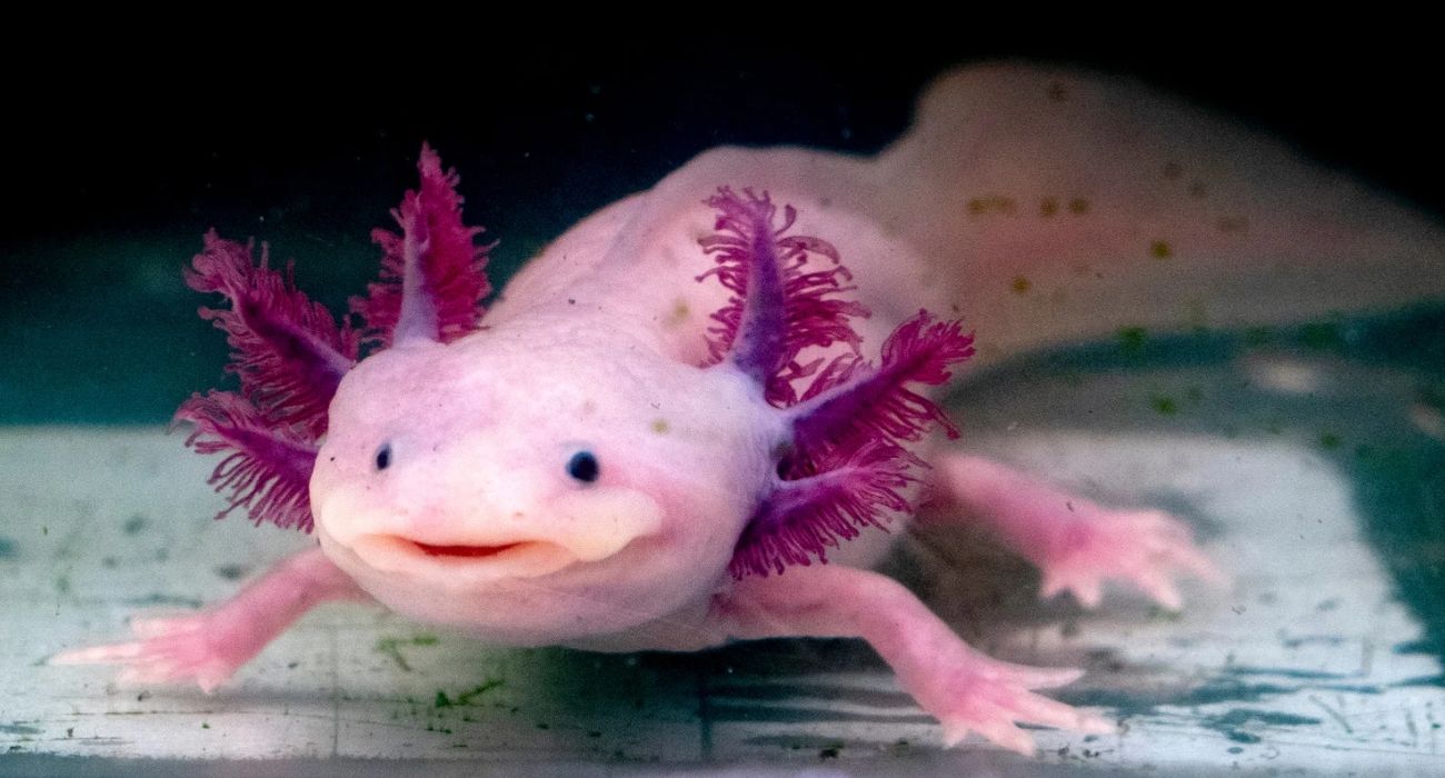 el horizonte info7.mx_20260423_091621_0000.jpg