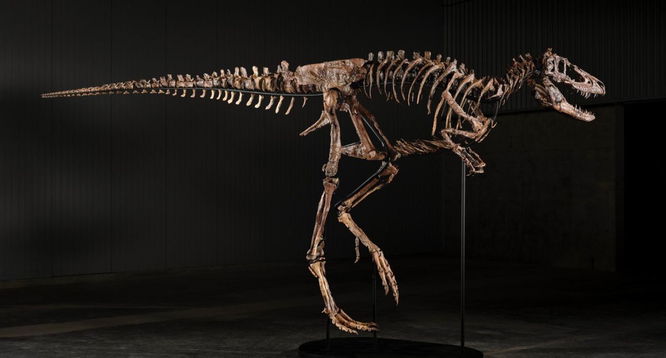 escena-esqueleto-nanotyrannus.jpg