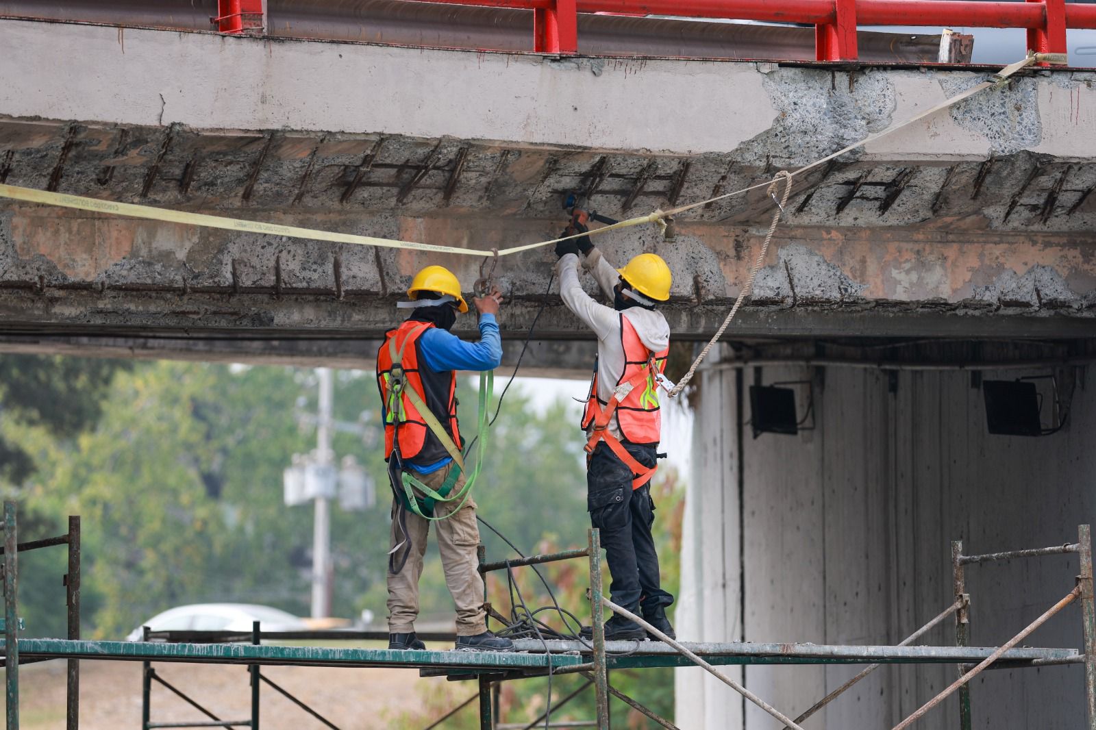 f89fc723-c1b8-46f3-bcd3-f84e242f4386.jfif