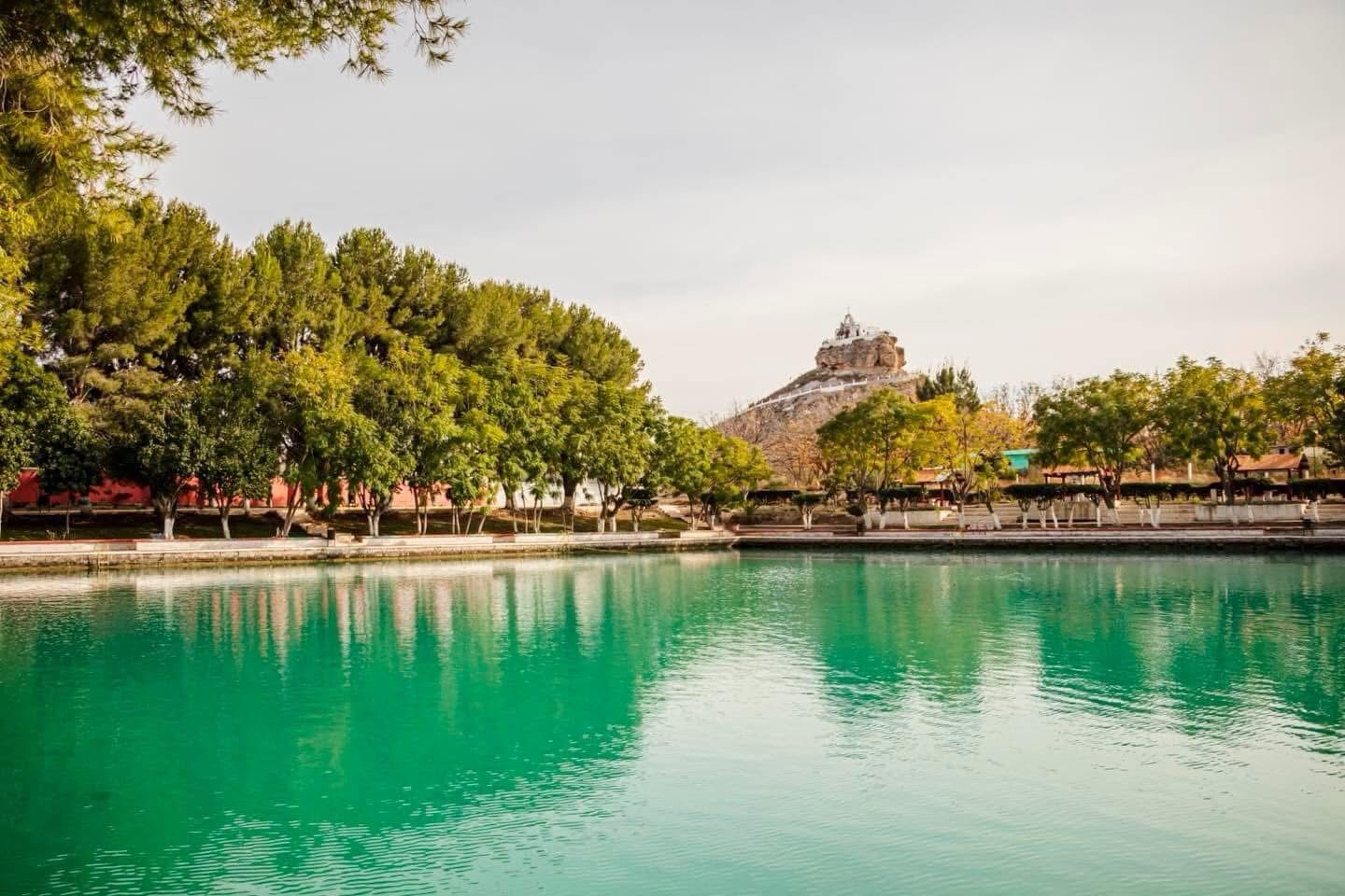 f9a04b8e-9407-4de9-aa2e-474d5e18be8c.jfif