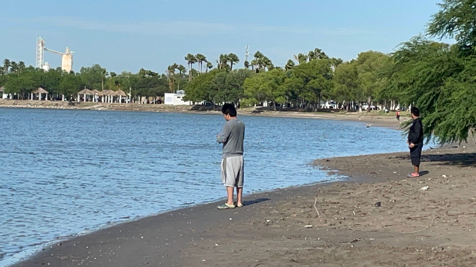 fa114eaa-8b4a-451d-baeb-620d3b483ba3.jfif