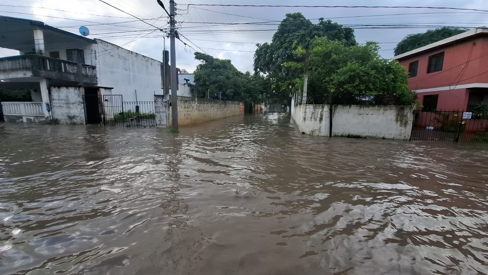 fa31be35-799f-43d8-b03f-9453656b2350.jfif