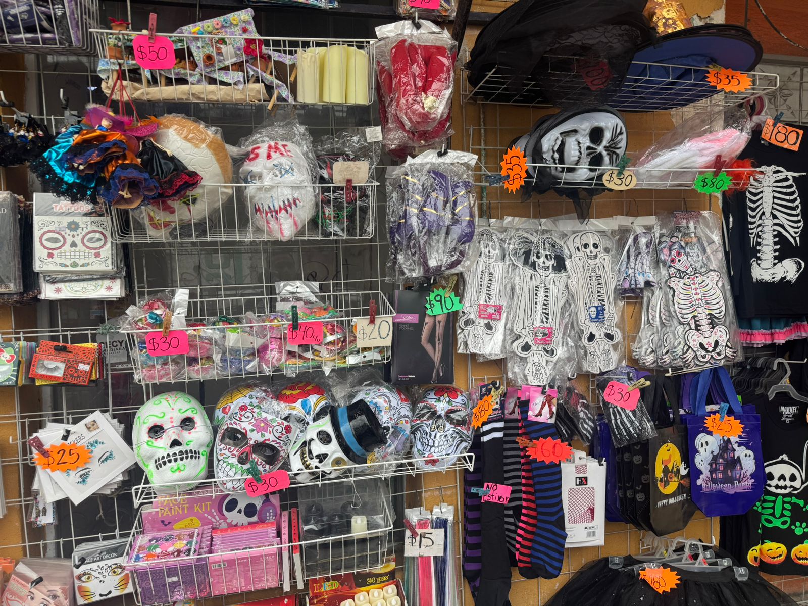 fa6d487a-a25b-470a-96ed-aebfc5045abb.jfif