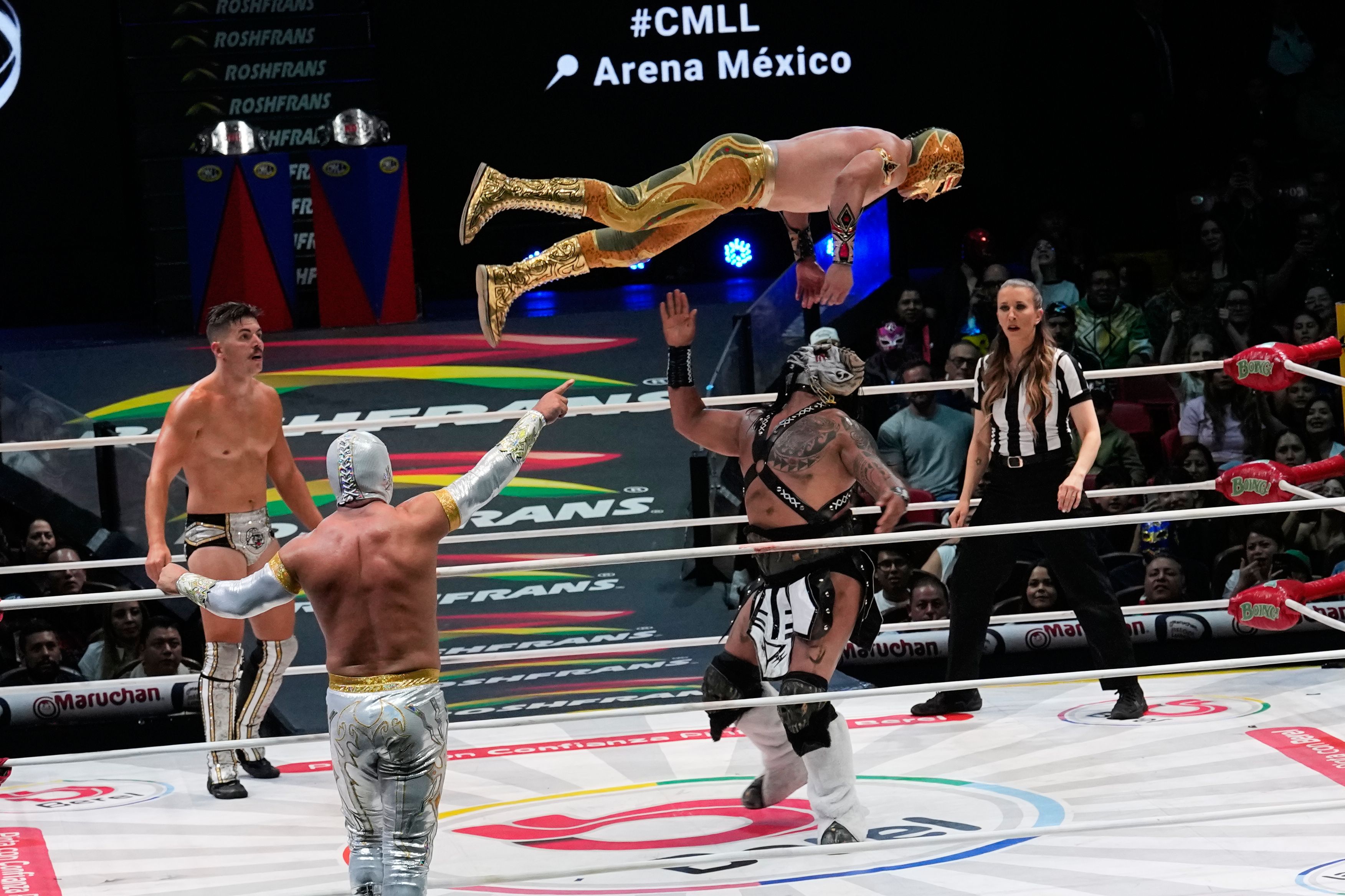 fanaticos-lucha-libre.jpg