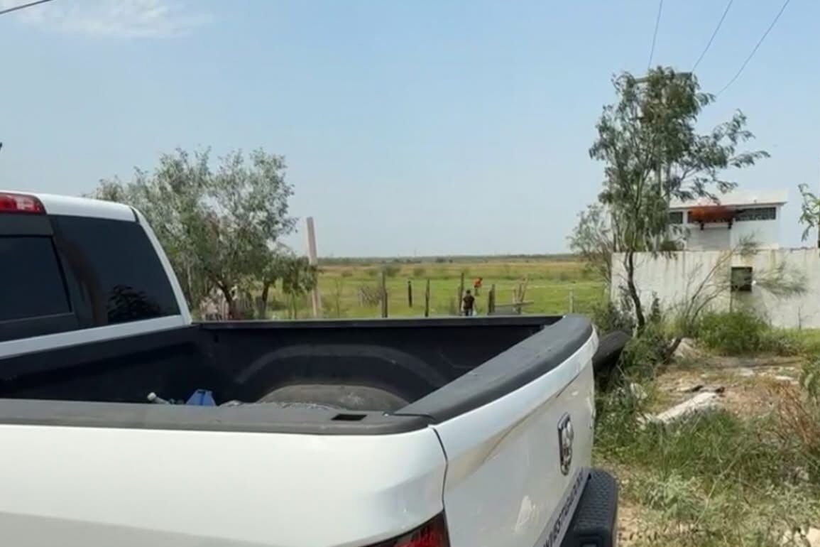 fe9eb21b-207b-43e1-a900-646cf1134f65.jfif