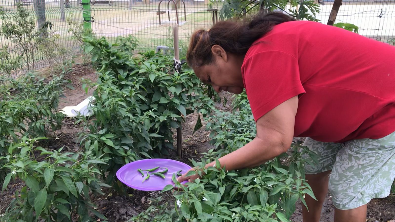 ffe08850-708d-4725-8f8c-29a213a8106d.jfif