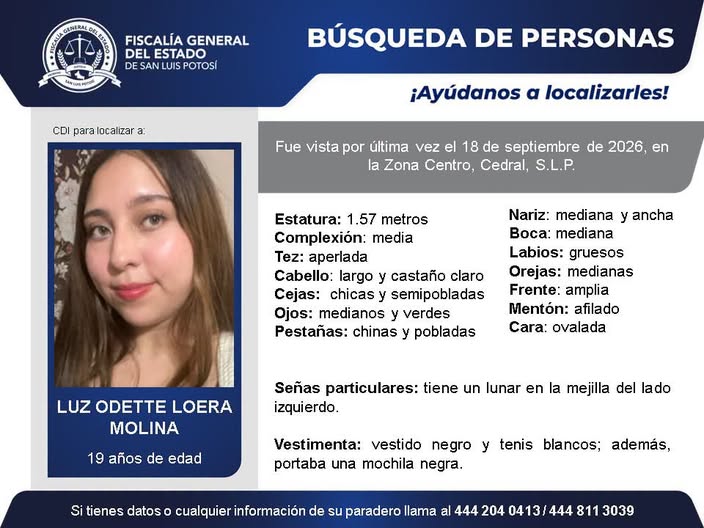 ficha de busqueda.jpeg