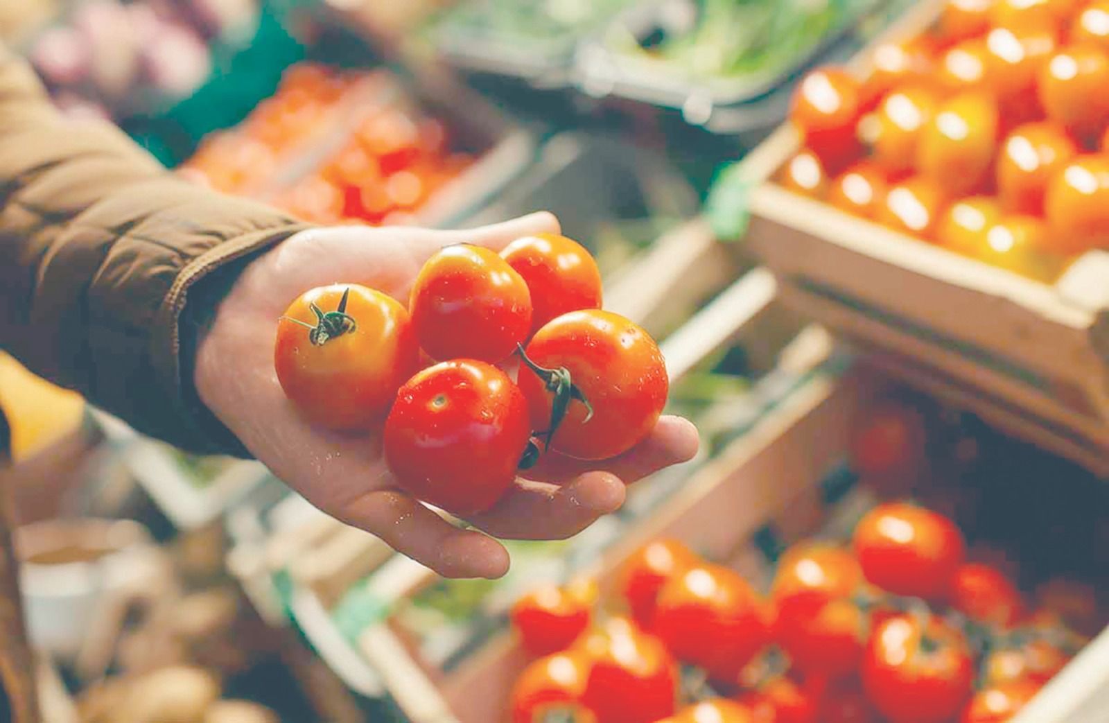 finanzas_tomate_283fb93f6b.jpg