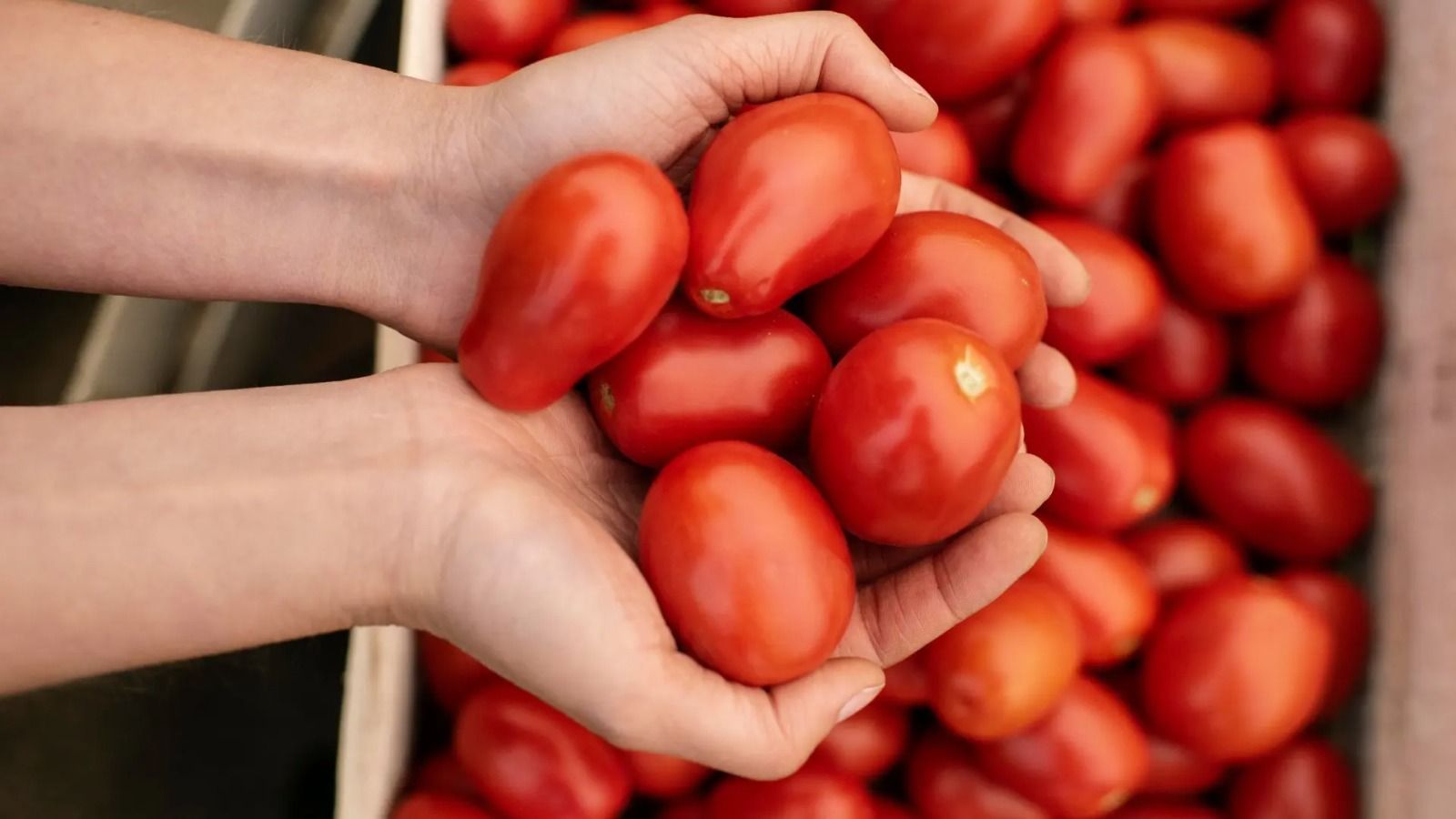 finanzas-tomate.jpeg