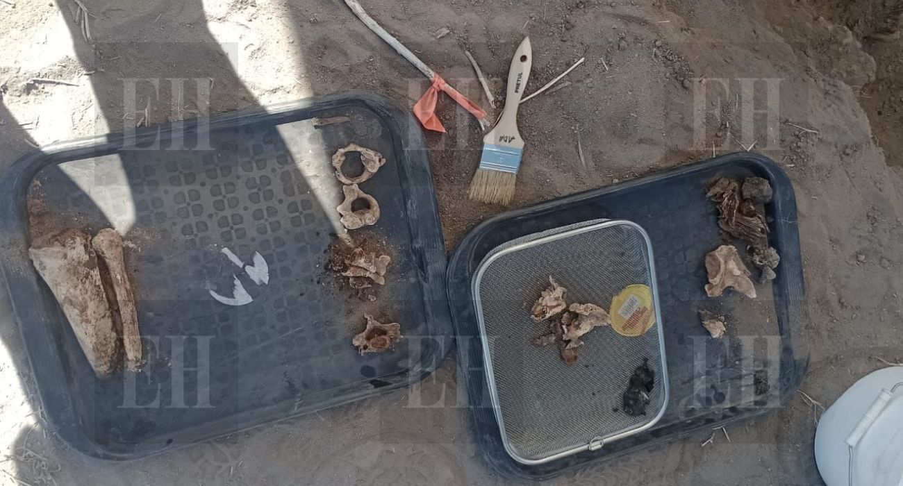 fosa-coahuila (1).jpg