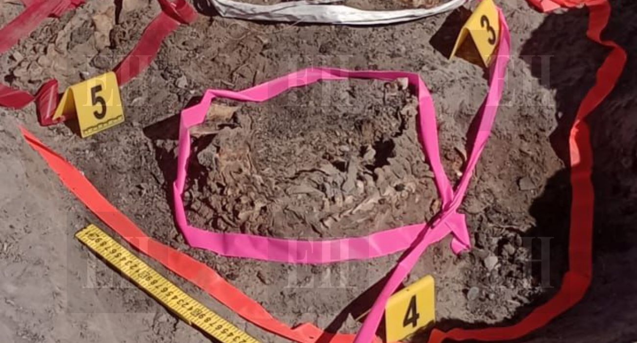 fosa-coahuila (2).jpg