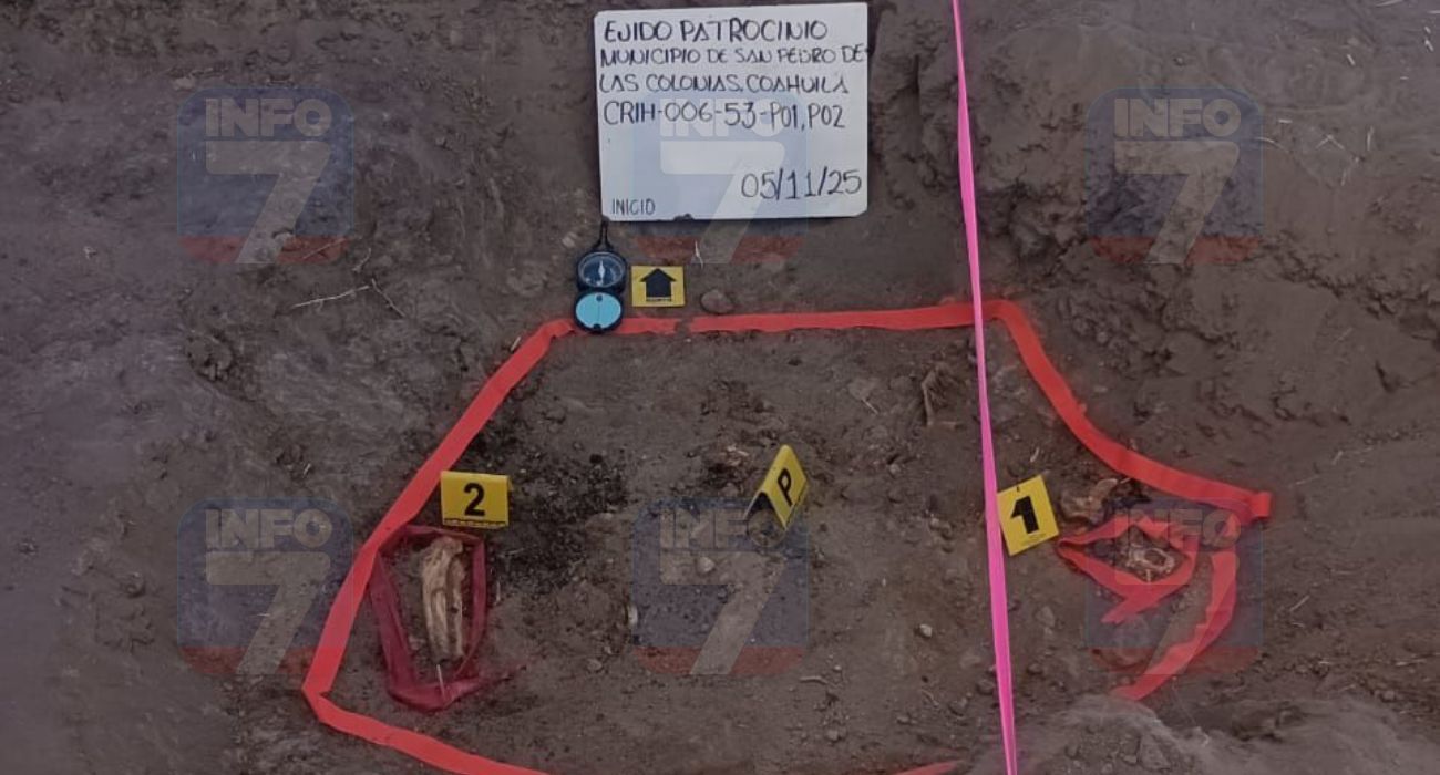 fosa-coahuila (3).jpg