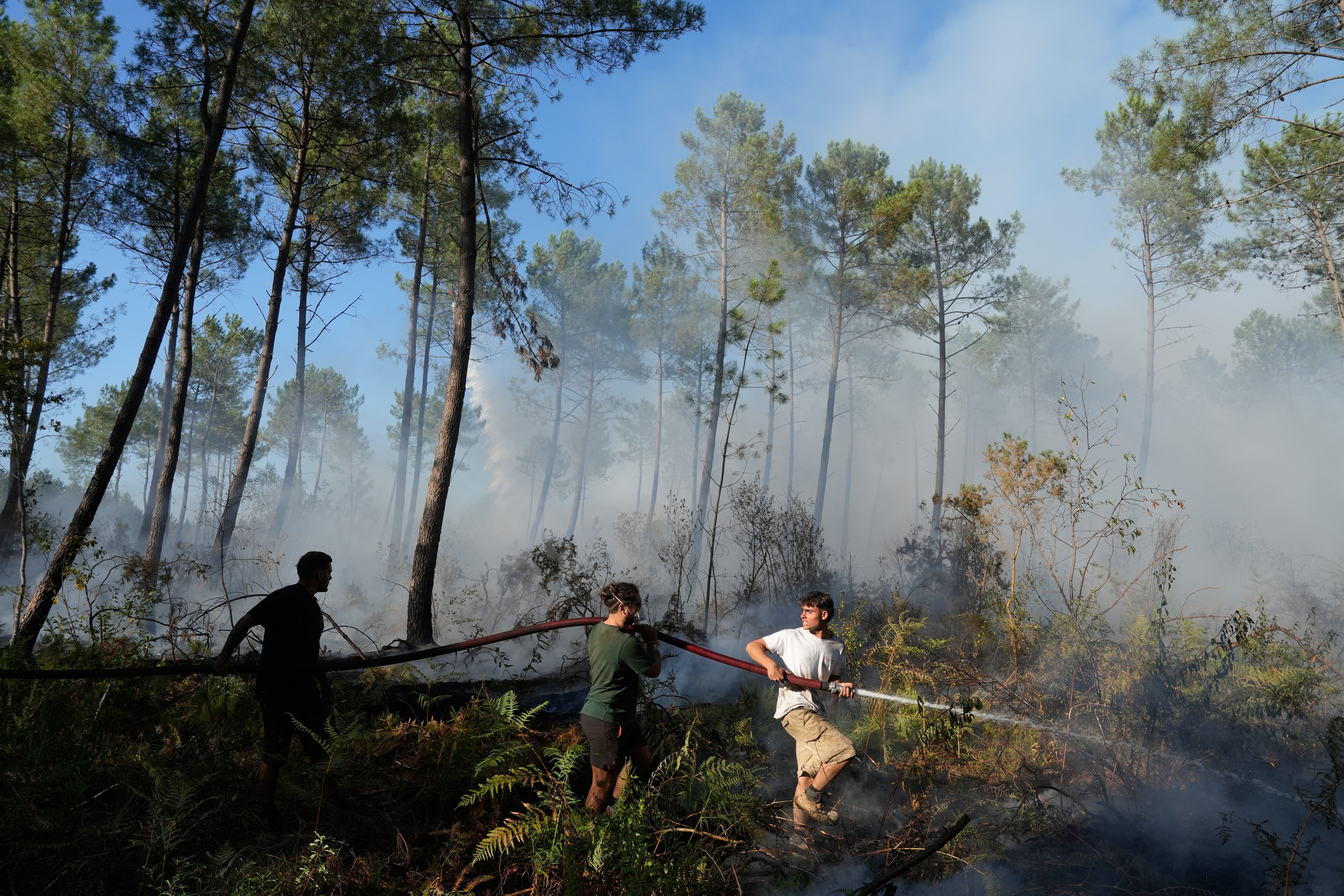 francia-españa-evacuan-33000-incendios-forestales.jpg
