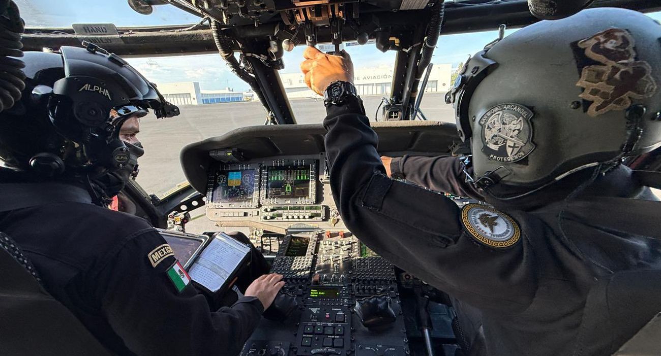 fuerza aerea
