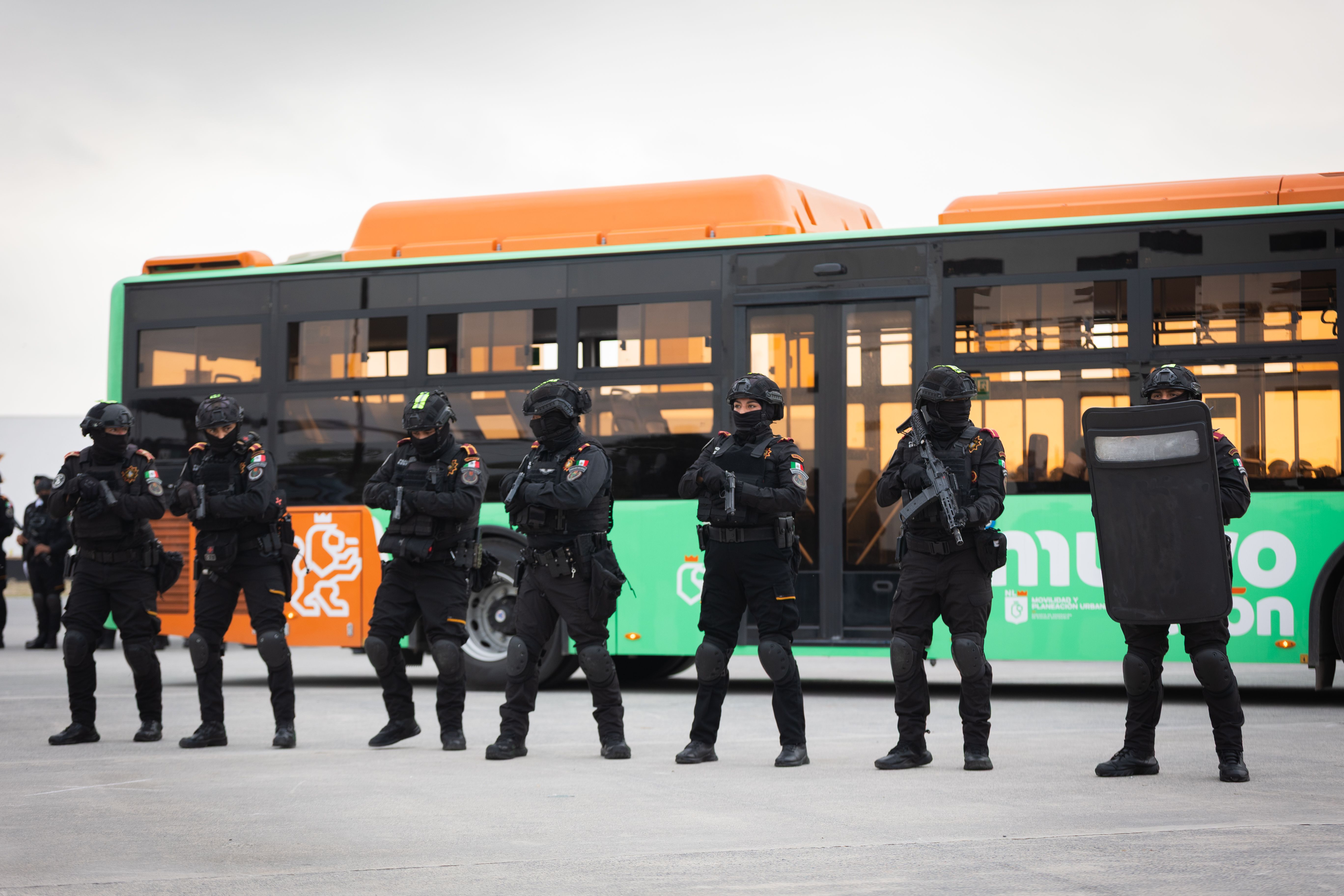 fuerza civil 5.JPG