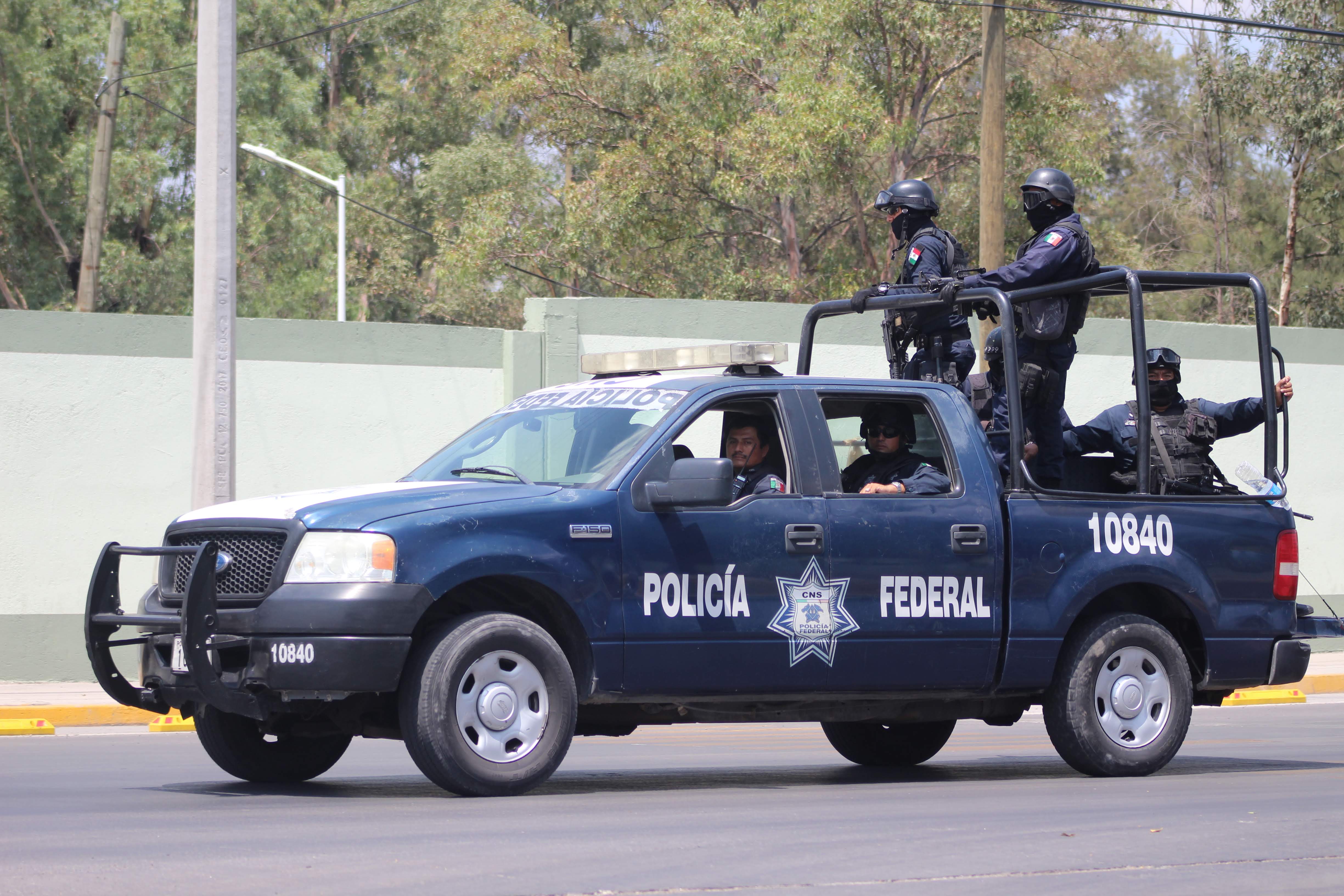 fuerzas-federales-suman-realizan-corporaciones.jfif