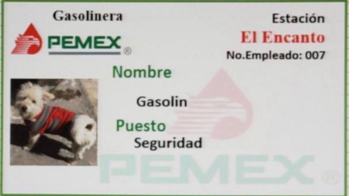 gasolin-empleado.jpeg