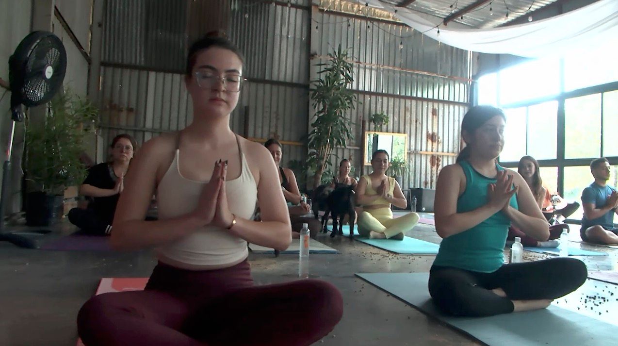 goat-yoga-cabras2.jpg