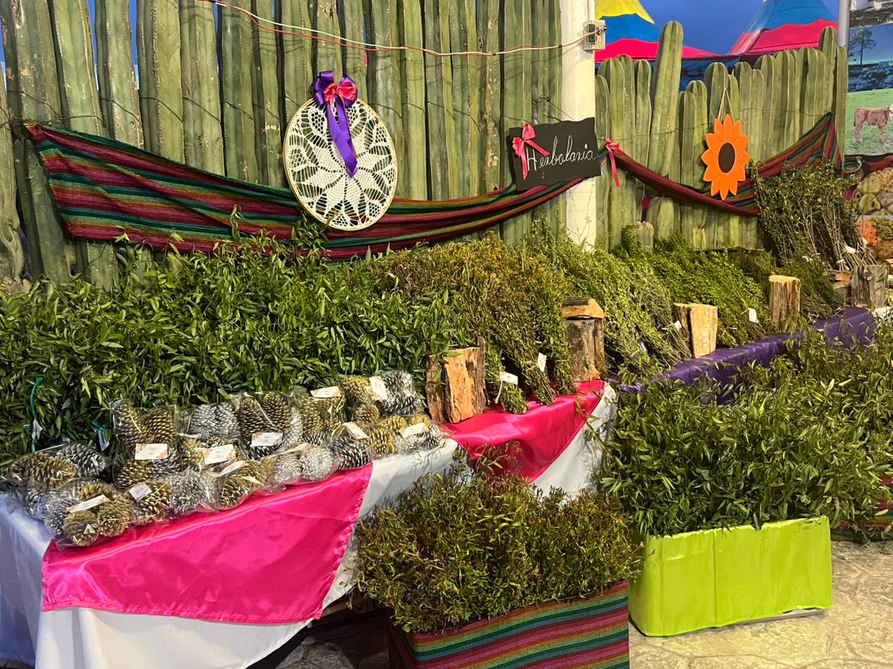 herbolaria-miquihuaba2.jpeg