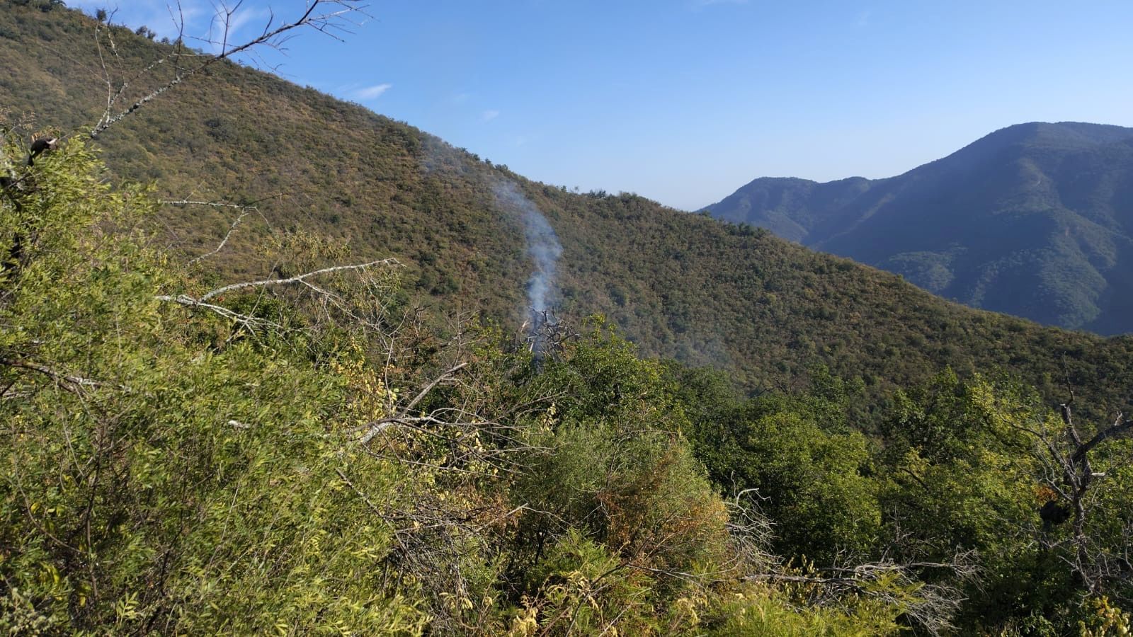 incendio-puerto-genovevo1.jpg