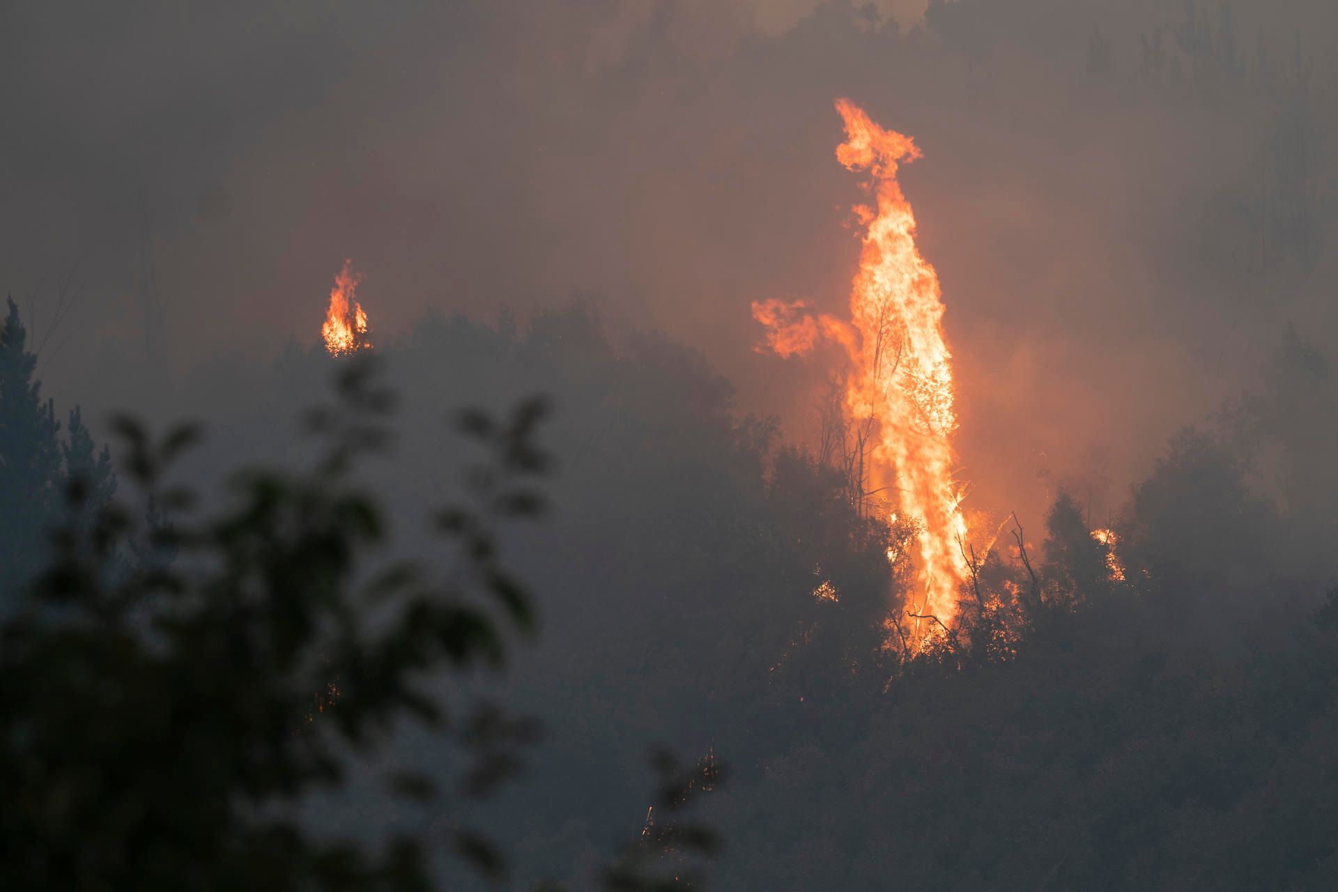 incendios chile llegan 145 brigadistas de mexico.jpg