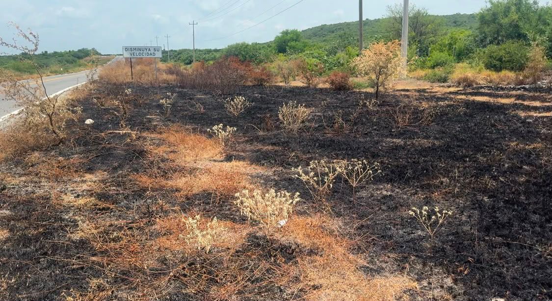 incendios-forestales-tamaulipas-2026.jpg