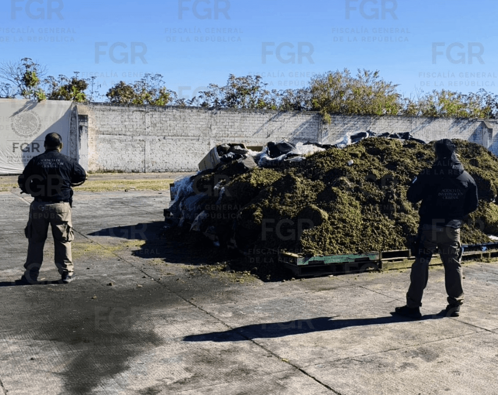 incineran-toneladas-narcoticos-jalisco.jpg