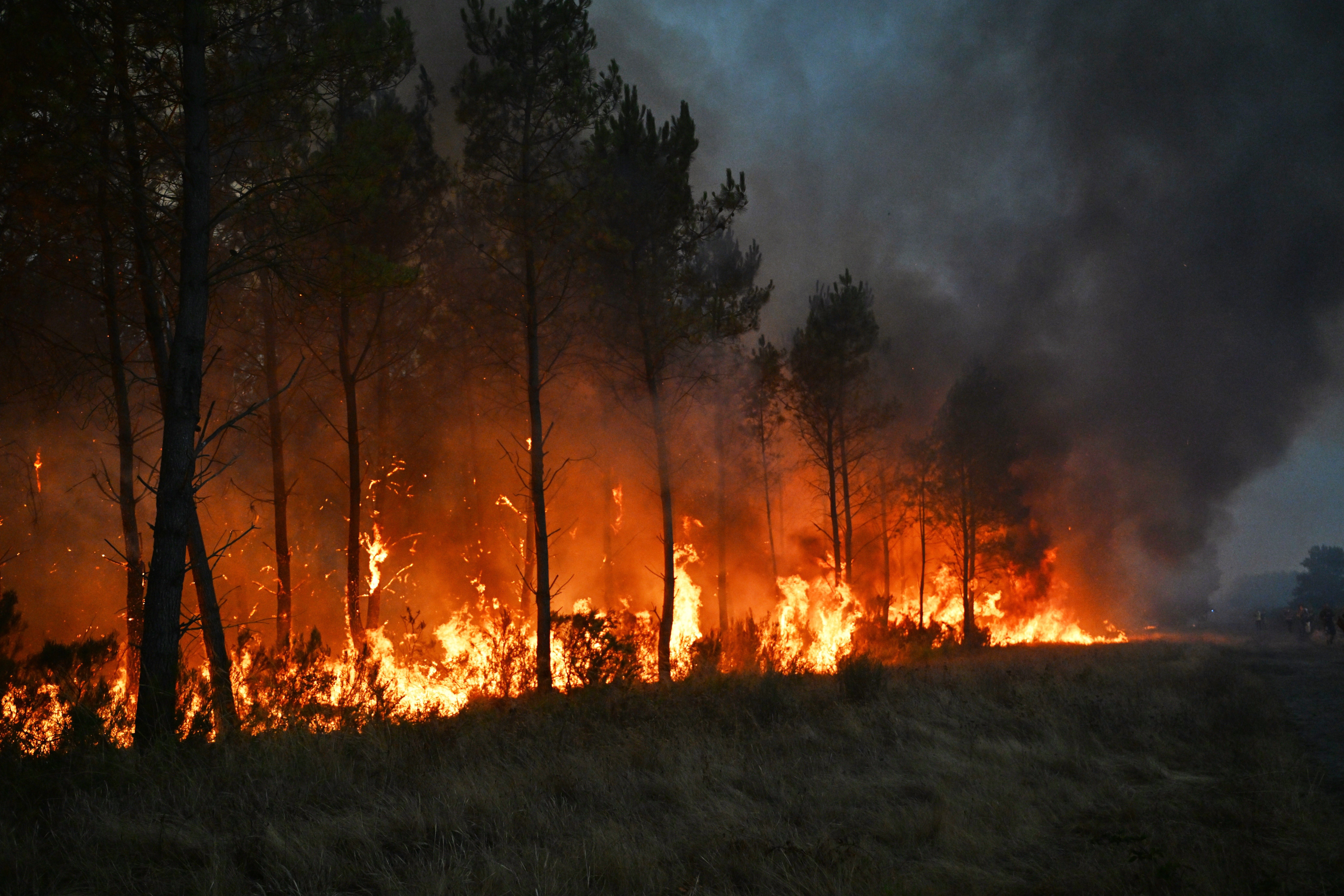 inter-incendios-españa-francia.jpg
