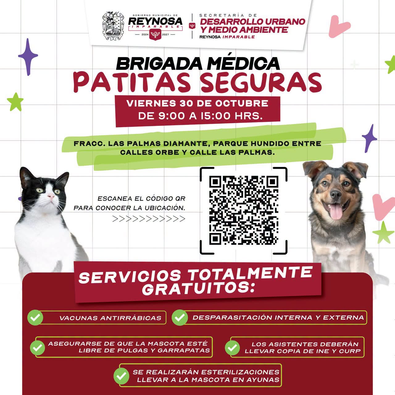 llevan-brigada-medica-mascotas-reynosa.jpg