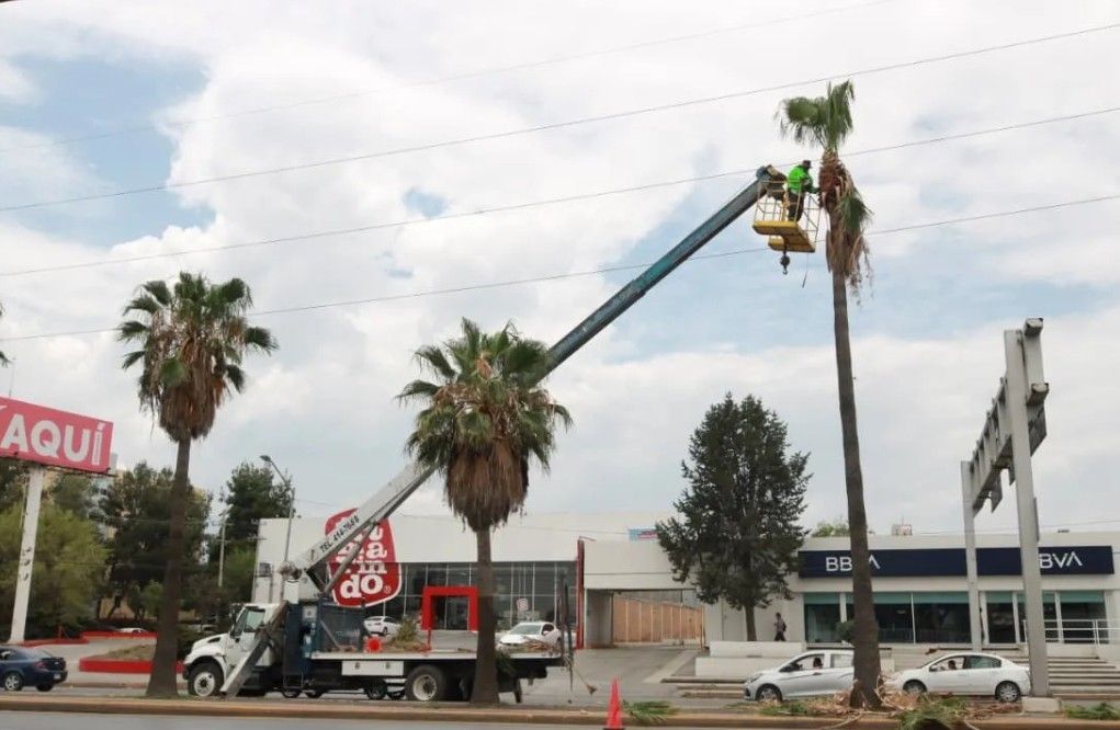 maquinaria basura saltillo