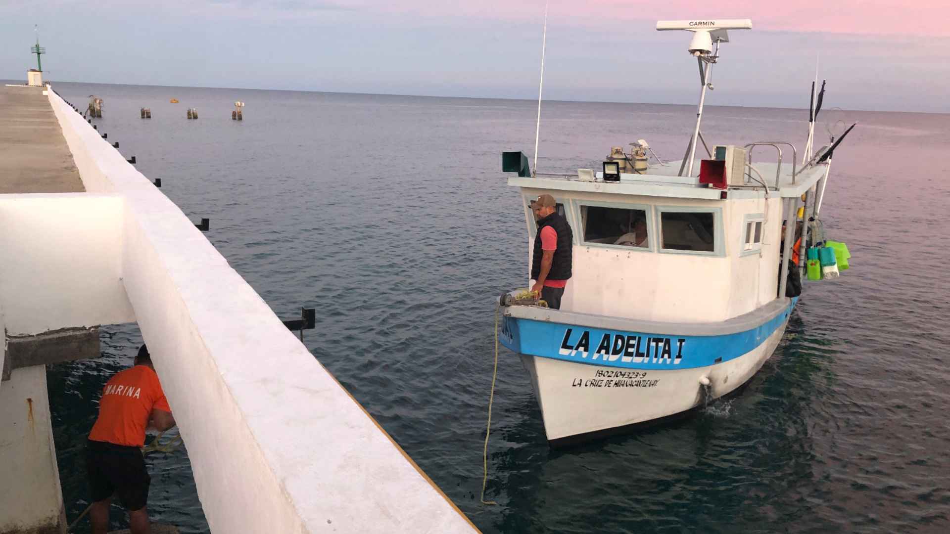 marina-asegura-embarcacion-con-130-kilos-de-tiburon-por-pesca-ilegal-en-islas-marias.jpg