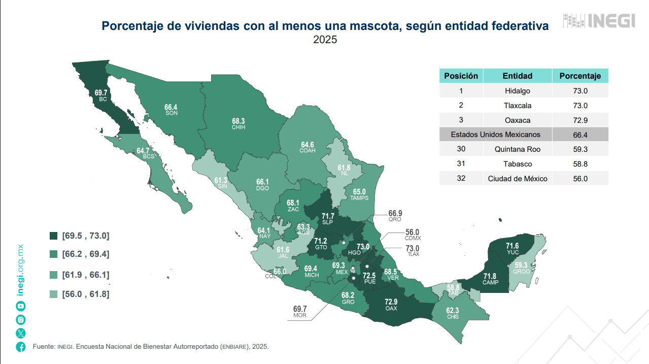 mascotas-coahuila.jpg
